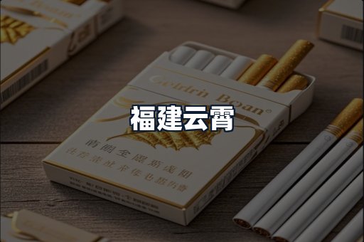 福建云霄
